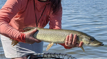 Hit the Lakes! Bow River Report June 4, 2021