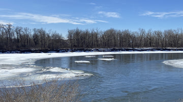 BOW RIVER FISHING REPORT MARCH 22, 2024