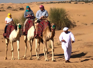 Trip of a Lifetime -  Part 1 - Headed to the Seychelles