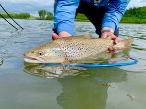 2020 season summary from Terry Johnson