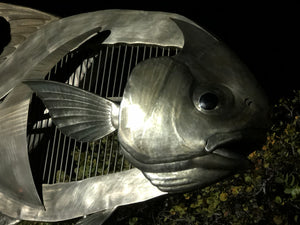 Trip Report - La Pescadora, Ascension Bay Mexico - February 23-March 2, 2019