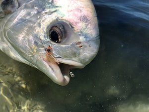 Tale of a First Permit in Cuba