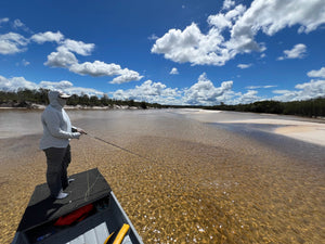 Peacock Bass in the Amazon - 2027