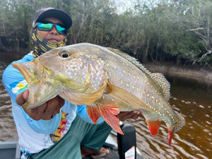 Brazil 2024 Trip Report - Part 1