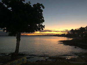 Cuba December 2021 trip report- Instalment One