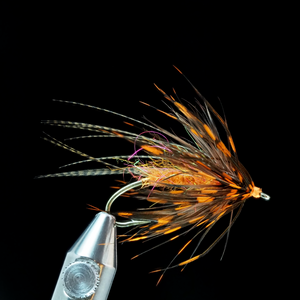 Fly Tie Tuesday - October Swinger - Oct/13/2020