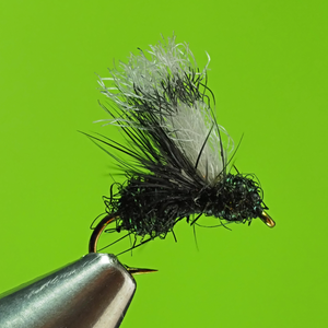 Fly Tie Tuesday - Quigley's Glitter Ant - Aug/26/2020