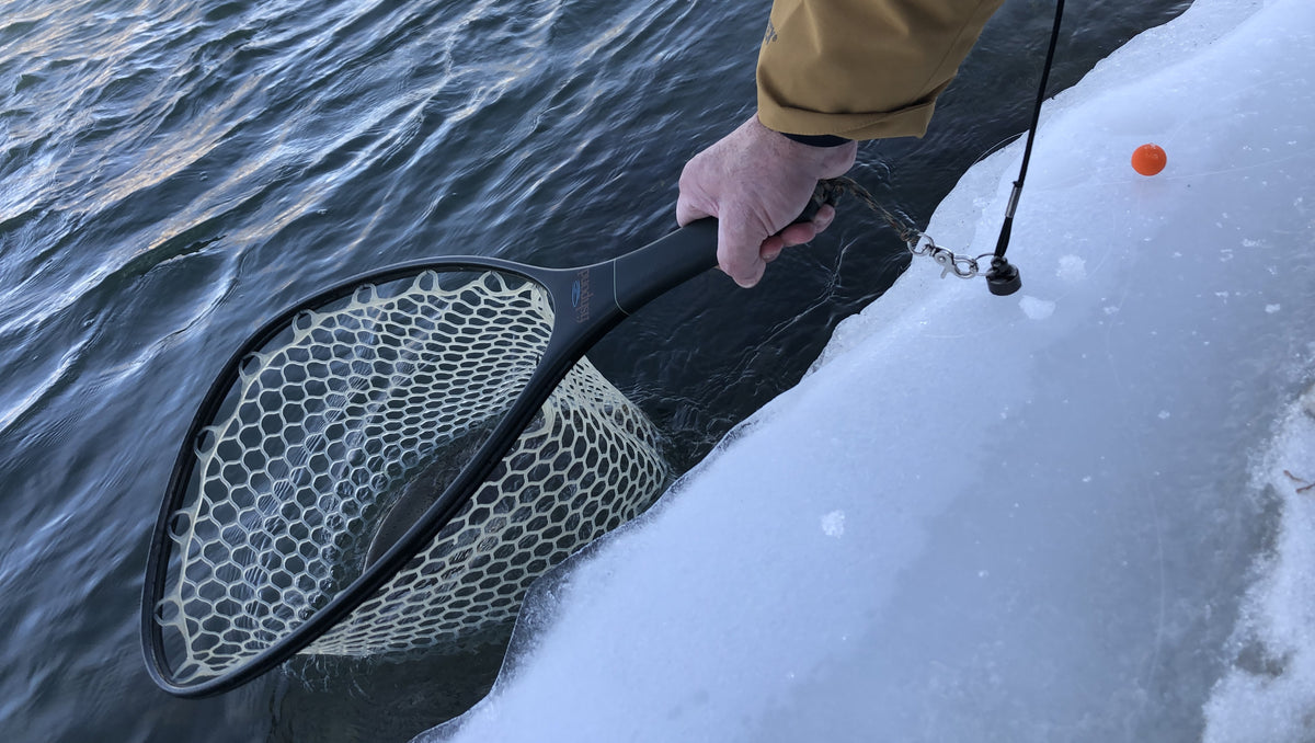 Bow River Fishing Report March 8, 2024 – Fish Tales Fly Shop