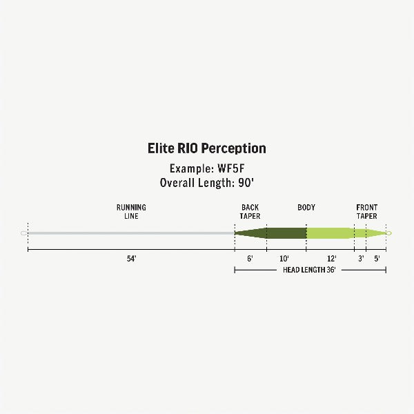 Rio Elite Perception Floating Fly Line