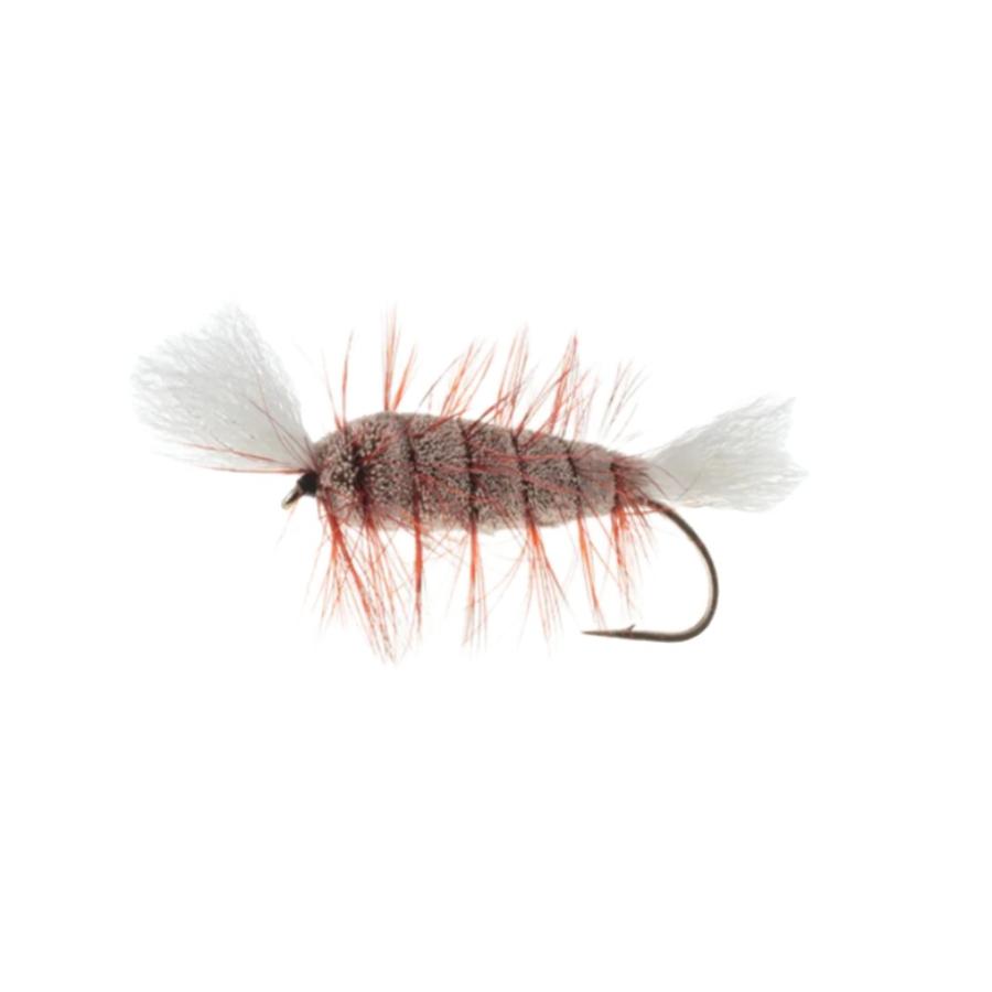 Aqua Flies Cigar Bomber Dry Fly Steelhead Salmon Skating Dry Flies