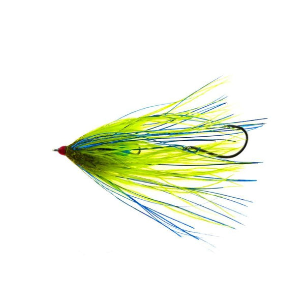 Aqua Flies Fish Taco Intruder