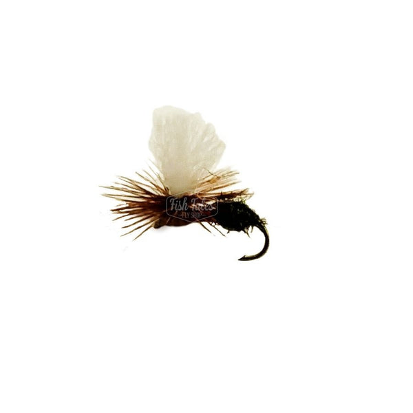 Catch Flies Lamar Ant Dry Fly