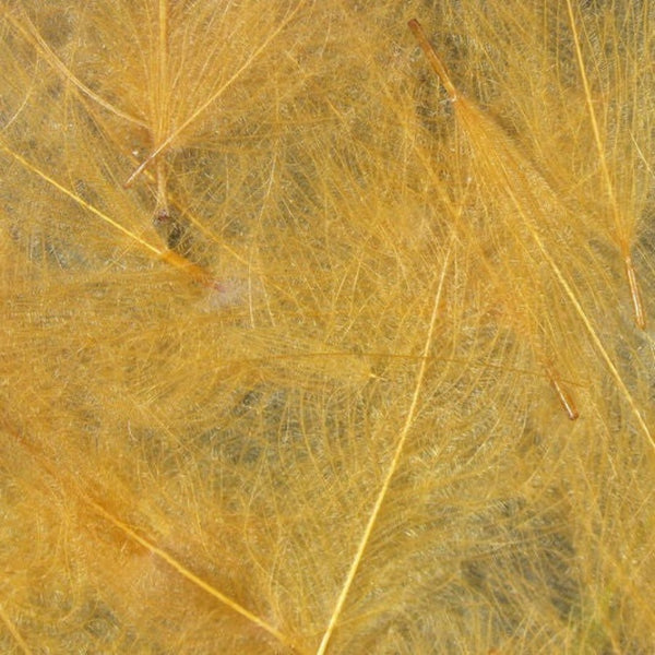 Hareline Premium CDC Feathers
