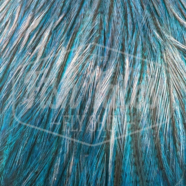 Whiting Farms CDL Rooster Cape