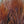 Load image into Gallery viewer, Hareline Marabou Blood Quills 1oz Package