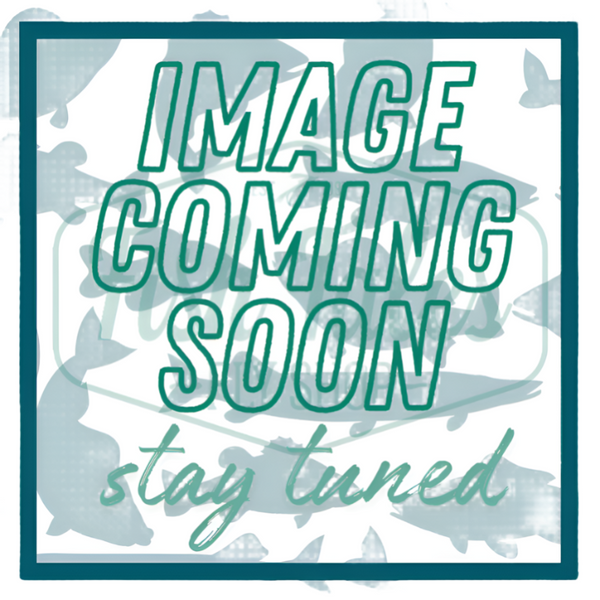 Image coming soon - stay tuned.