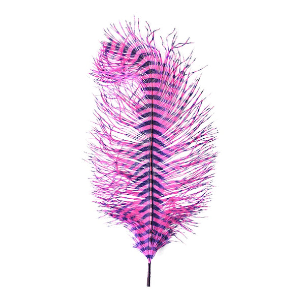 MFC Barred Ostrich Plume
