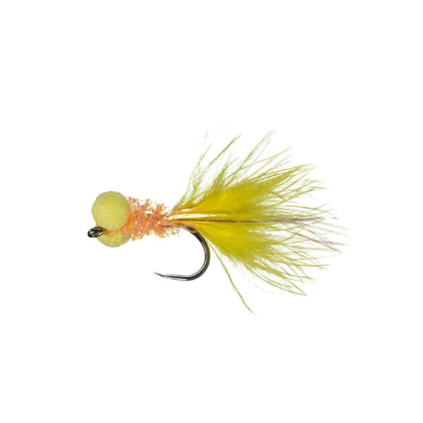 MFC Flies Chan's Las Vegas Booby Leech