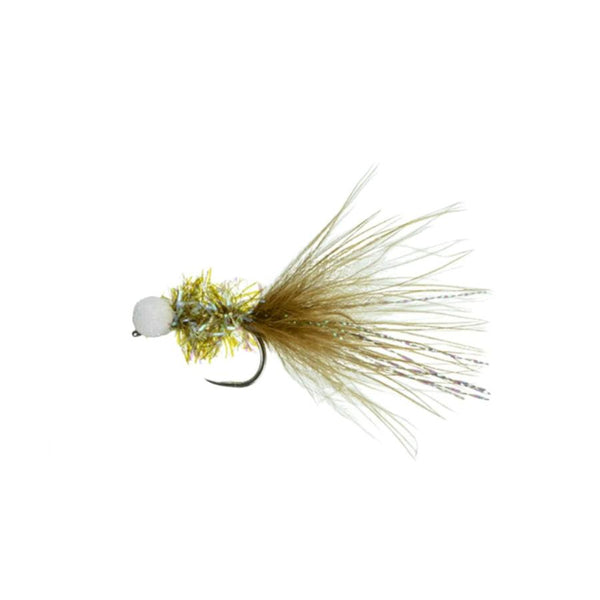 MFC Flies Chan's Las Vegas Booby Leech