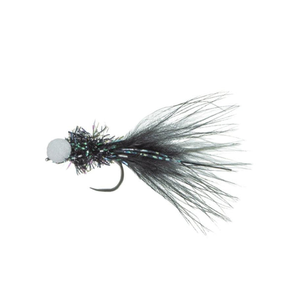 MFC Flies Chan's Las Vegas Booby Leech