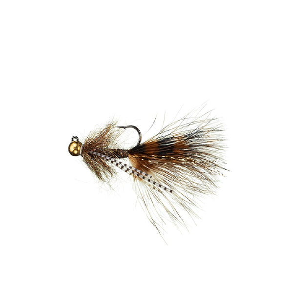 An MFC Flies Chicago Overcoat Jig Nymph with brown and black feathers on a white background.