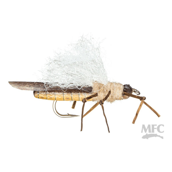 MFC Flies True Golden Stone Dry Fly
