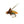 Load image into Gallery viewer, Rio Flies PC Pupa TB Caddis Nymph
