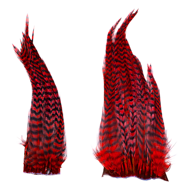 Shor Genetic Rooster Hackle Mini Pack