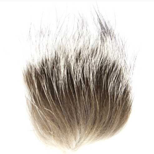 Shor Silver Fox