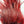 Load image into Gallery viewer, Whiting Farms CDL Euro Tailing Pack