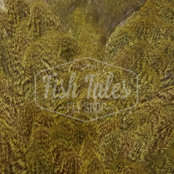 Whiting Farms CDL Hen Soft Hackle with Chickabou Patch