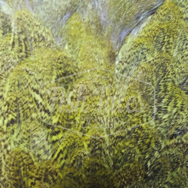 Whiting Farms CDL Hen Soft Hackle with Chickabou Patch
