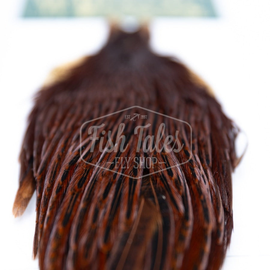 Whiting Farms Hebert Miner Hen Cape | Fly Tying Soft Hackle