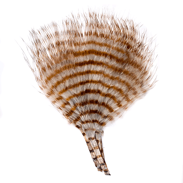 MFC Mini Barred Marabou