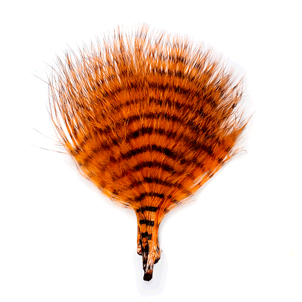MFC Mini Barred Marabou