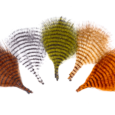 MFC Mini Barred Marabou