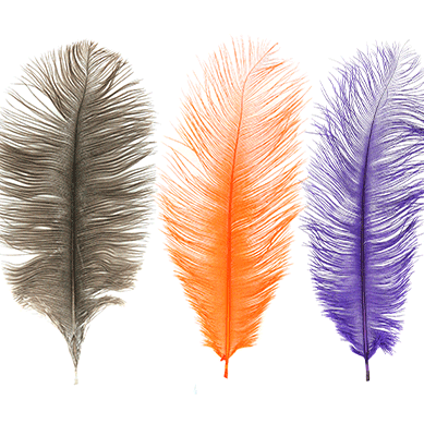 MFC Ostrich Plumes