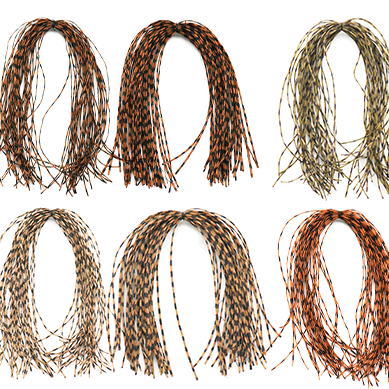 MFC Barred Sexi Floss