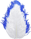 Spirit River Tip-Dyed Ostrich Feather