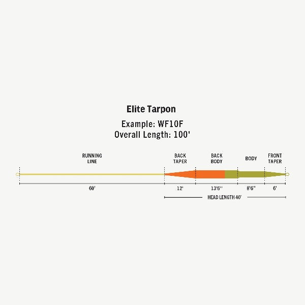 Rio Elite Tarpon Tropical Floating Fly Line