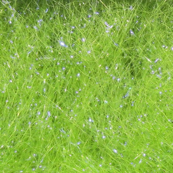 Hareline Ice Dubbing