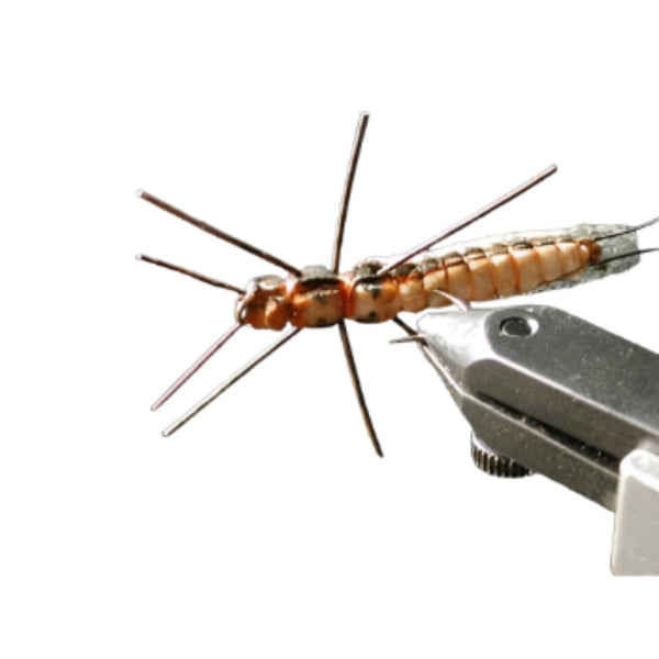 River Road Creations Foam Body Cutter - Stonefly