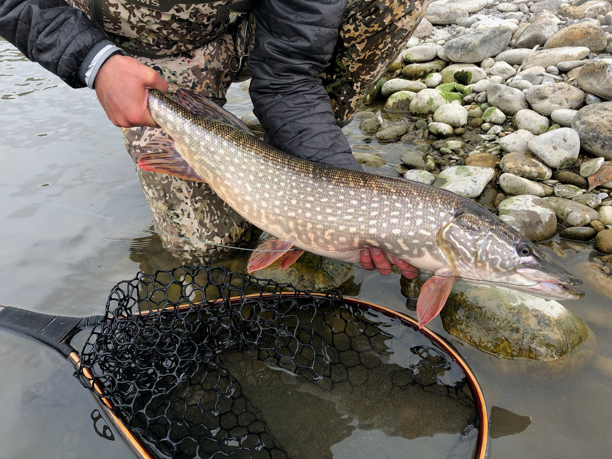 Water report - May 10, 2019