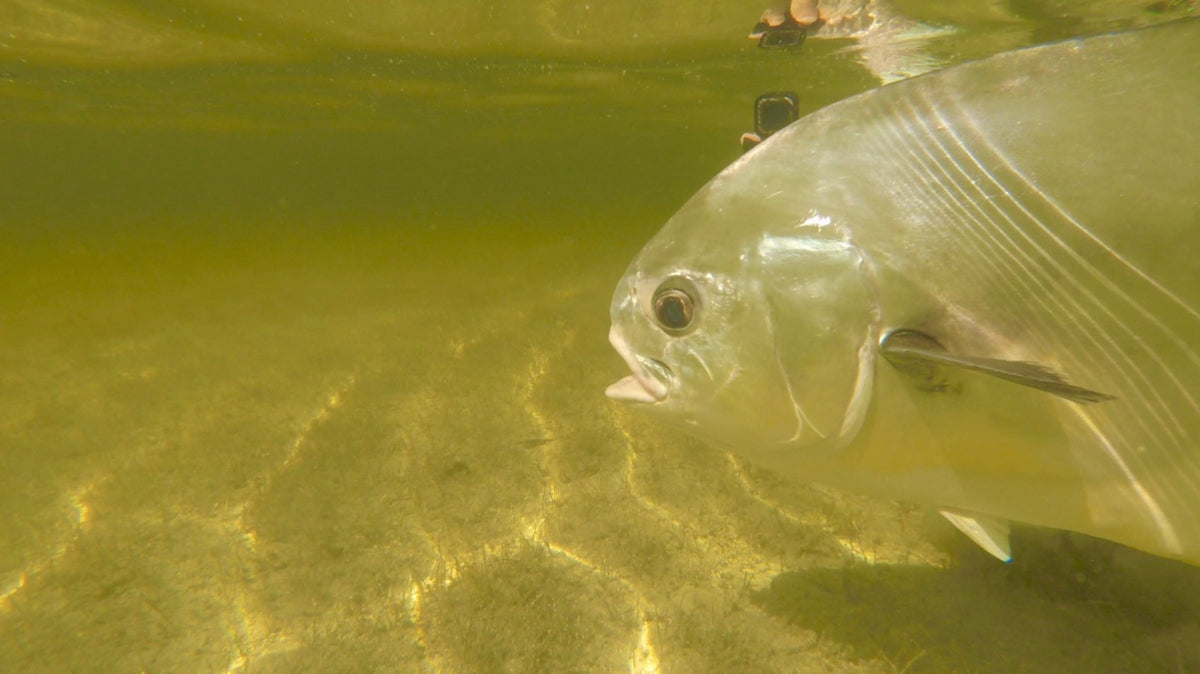 Cuba December 2021 Trip Report - Instalment Five