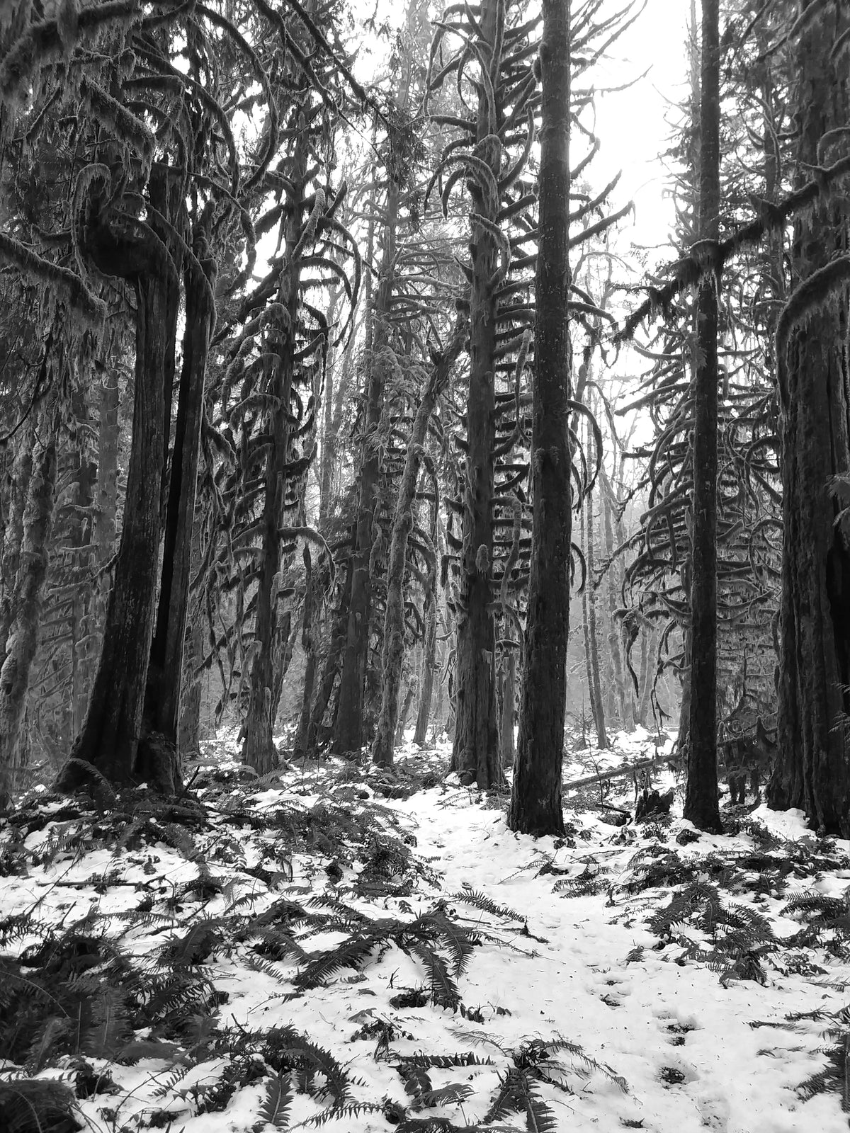 Patagonia Women's Swiftcurrent Waders Review