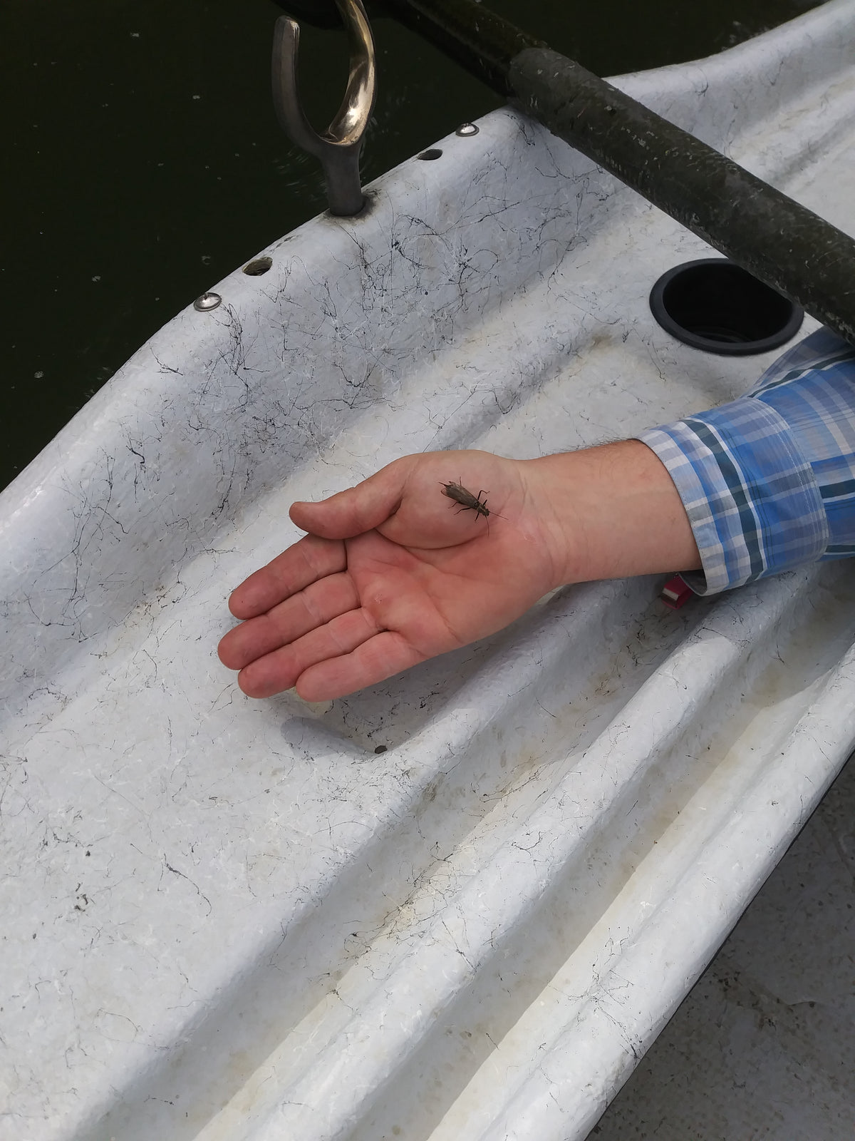 End of April - River Update