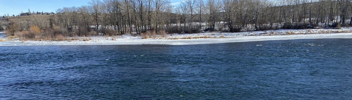 Bow River Fishing Report February 1, 2025