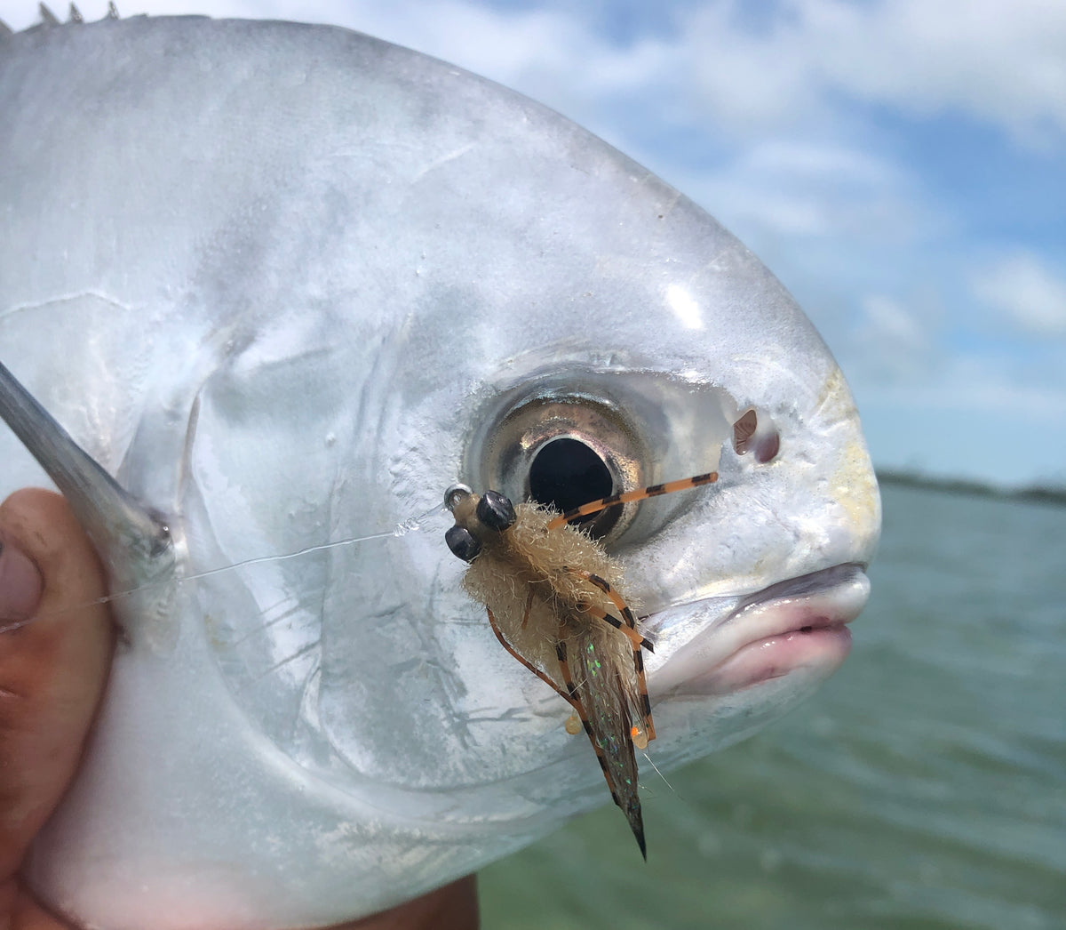 Part One Trip Report 