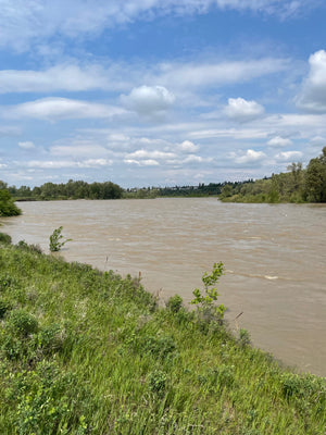 June 15th River Report