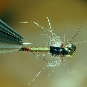 Fly Tie Tuesday BWO Jig Nymph 10/29/2019